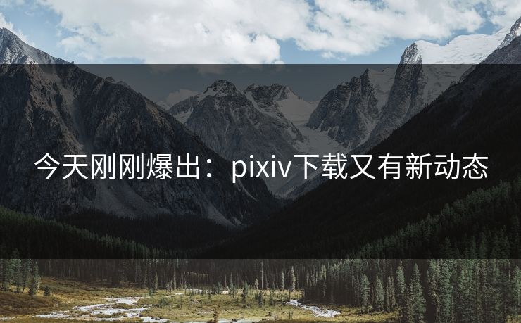 今天刚刚爆出：pixiv下载又有新动态