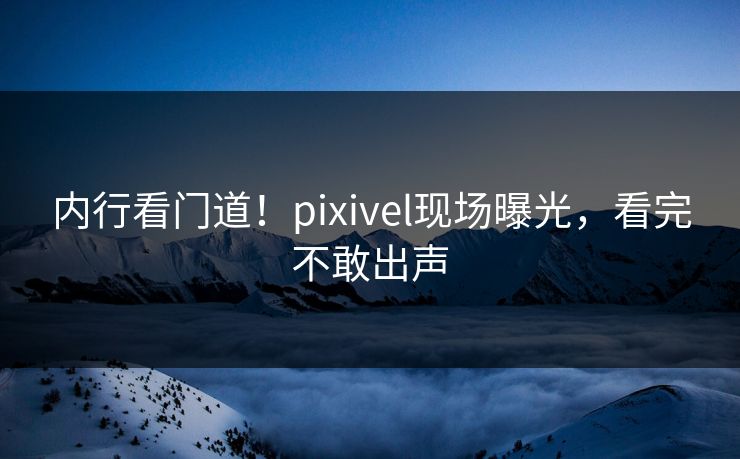 内行看门道！pixivel现场曝光，看完不敢出声