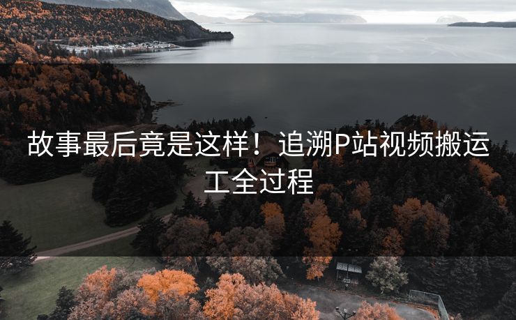 故事最后竟是这样！追溯P站视频搬运工全过程