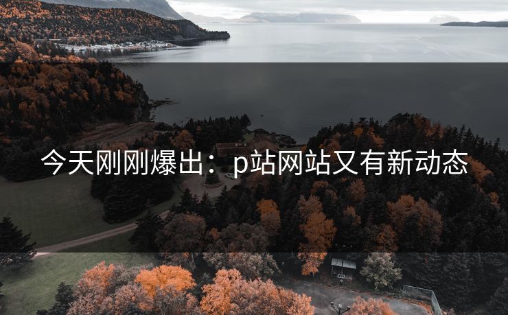 今天刚刚爆出：p站网站又有新动态