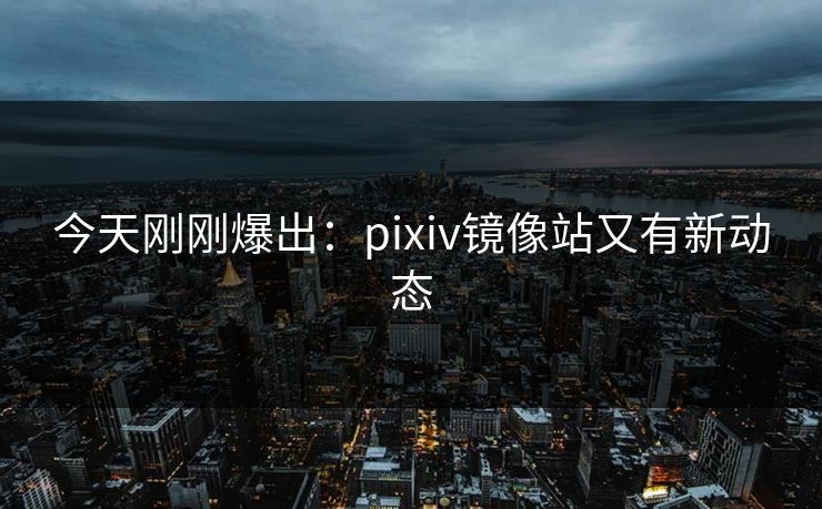 今天刚刚爆出：pixiv镜像站又有新动态