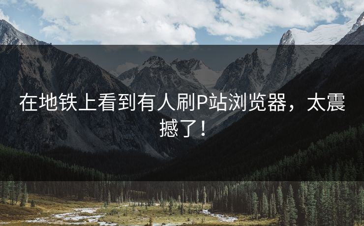 在地铁上看到有人刷P站浏览器，太震撼了！