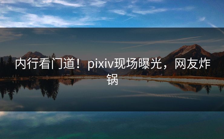内行看门道！pixiv现场曝光，网友炸锅