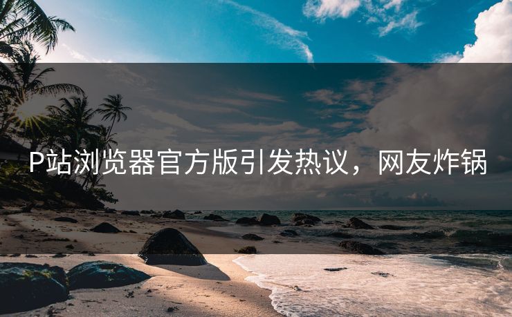 P站浏览器官方版引发热议，网友炸锅