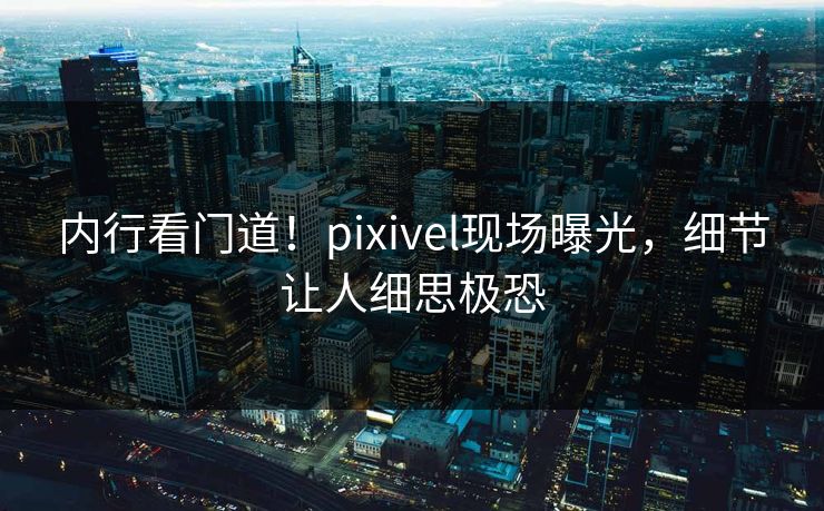 内行看门道！pixivel现场曝光，细节让人细思极恐