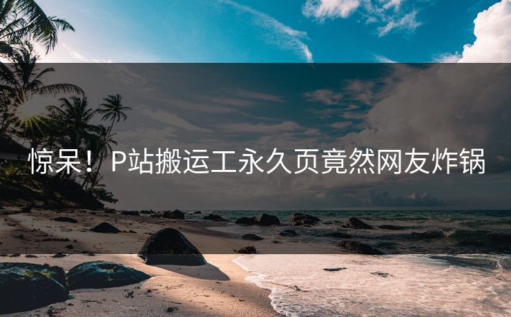 惊呆！P站搬运工永久页竟然网友炸锅