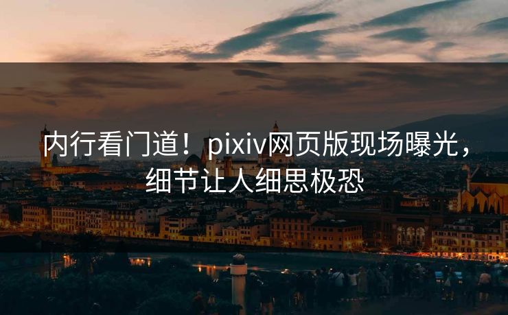 内行看门道！pixiv网页版现场曝光，细节让人细思极恐