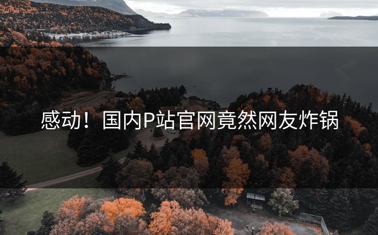 感动！国内P站官网竟然网友炸锅