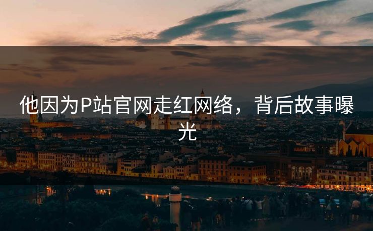 他因为P站官网走红网络，背后故事曝光
