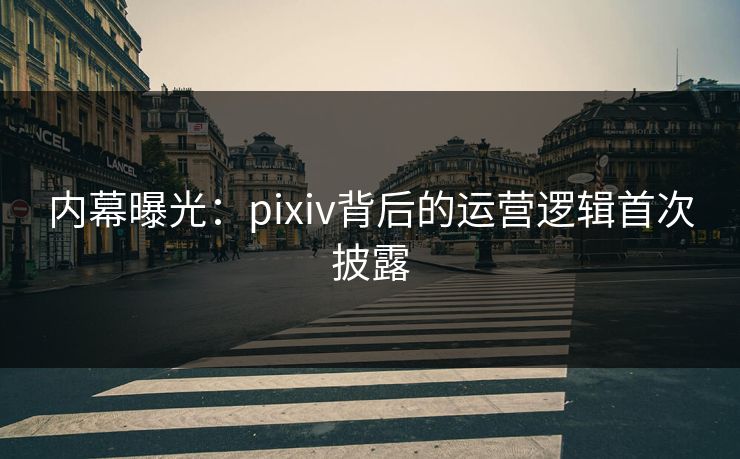 内幕曝光：pixiv背后的运营逻辑首次披露