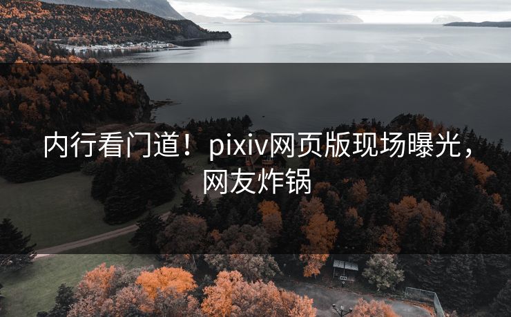 内行看门道！pixiv网页版现场曝光，网友炸锅