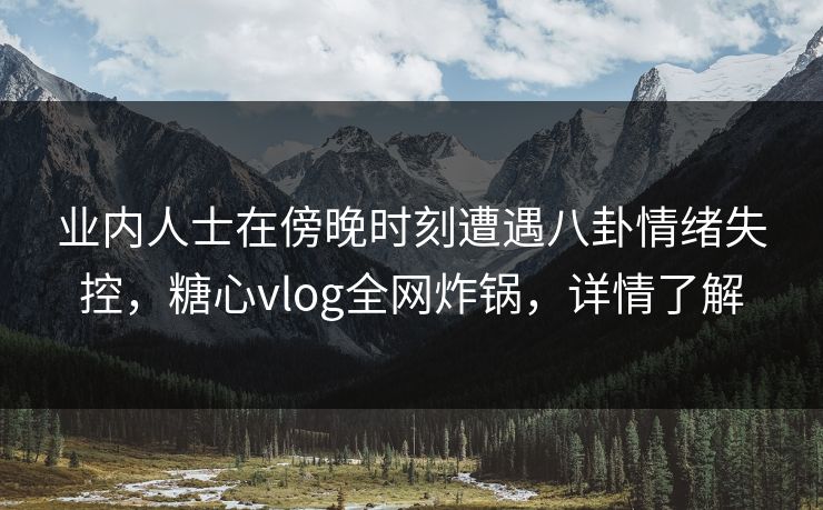 业内人士在傍晚时刻遭遇八卦情绪失控，糖心vlog全网炸锅，详情了解
