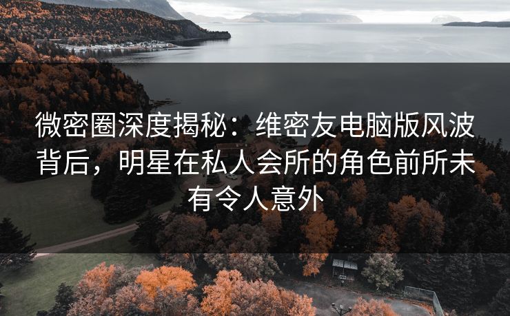 微密圈深度揭秘：维密友电脑版风波背后，明星在私人会所的角色前所未有令人意外